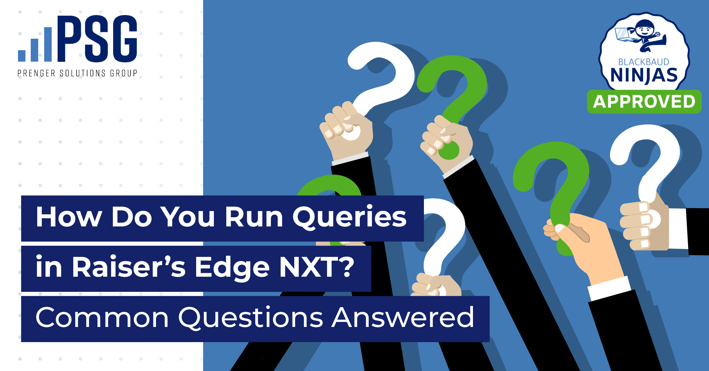 RunQueries1_Blog how to run queries in raiser's edge nxt